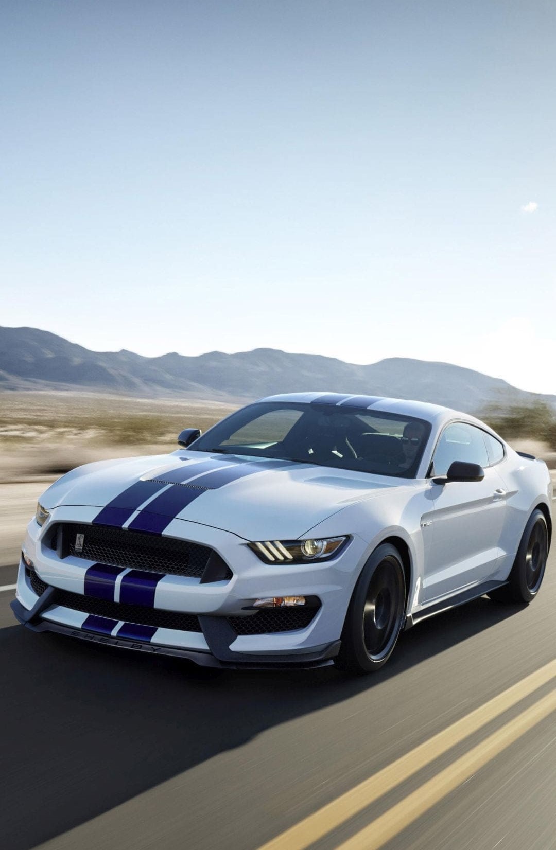 Mustang blanco con lineas azules